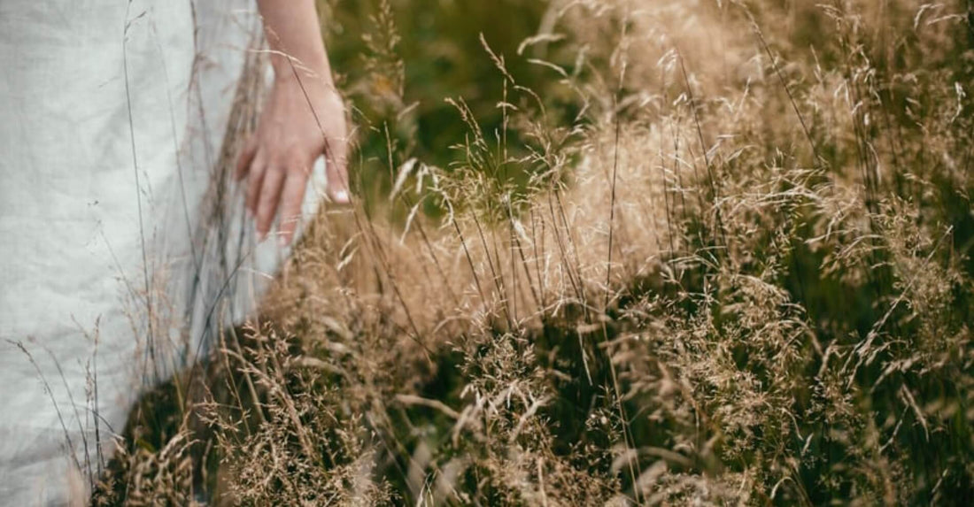 How Gut Health Affects Skin Ageing in Midlife Women