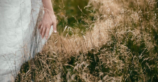 How Gut Health Affects Skin Ageing in Midlife Women